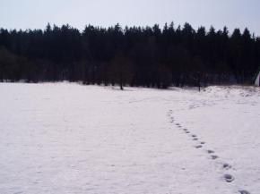 Stavebn� parcely - Nov� Ves u �esk�ch Bud�jovic