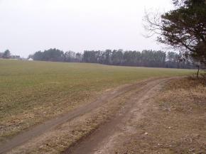 Pozemky v Novosedlech nad Ne��rkou