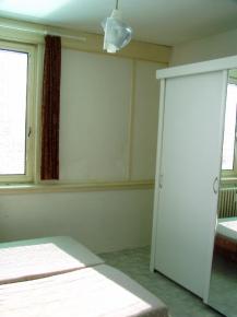 3,5 + 1 + balkon + lodgie, M.Hor�kov�