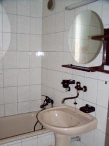 3,5 + 1 + balkon + lodgie, M.Hor�kov�