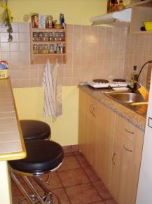 Zrekonstruovan� garsoniera s lodgi� v OV - Otavsk� ulice