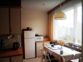 Byt 3+1 sdlit Pleivec . Krumlov