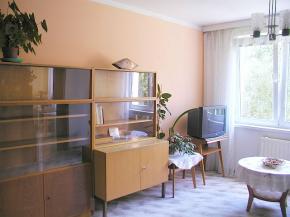 Byt 1+1 k pronjmu esk Krumlov