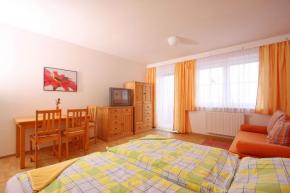 APARTMNOV BYT typ B ern v Poumav