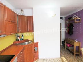 Byt 1+1 s balkonem