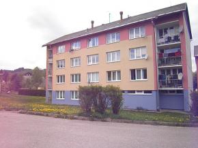 Prodej drustevnho bytu 2+1  v Hoicch na umav
