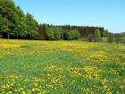 Prodej stavebn� parcely v obci V�ovan� Pl�n�