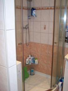 Prodej zrekonstuovanho bytu 1+1 v OV Pleivec