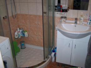 Prodej zrekonstuovanho bytu 1+1 v OV Pleivec