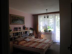 Prodej bytu 2+1 s balkonem v OV na Sdliti ve Velen.