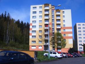 Byt 3+1 s gar v Louovicch REZERVACE!!!