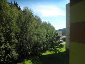 Byt 3+1 s gar v Louovicch REZERVACE!!!