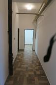 Pron�jem nebyt. postor Ple�ivec, �. Krumlov