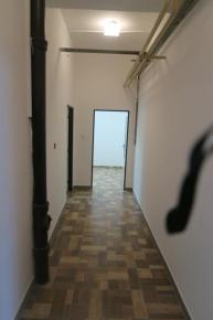Pron�jem nebyt. postor Ple�ivec, �. Krumlov