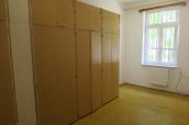 Pron�jem nebyt. postor Ple�ivec, �. Krumlov
