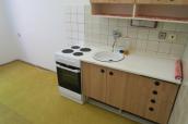Pron�jem nebyt. postor Ple�ivec, �. Krumlov