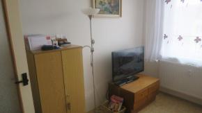 Byt 3+1 s lodi na sdliti Mr, . Krumlov