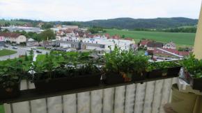 Byt 1+kk sdlit Mr, . Krumlov