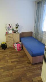 Byt 1+1 s balkonem Ple�ivec �. Krumlov