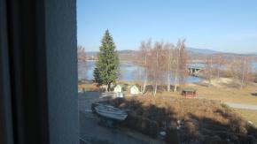 Prodej apartm�nu �ern� v Po�umav�