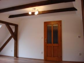 Nov zrekonstruovan pdn byt 1+1 v centru msta