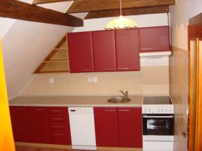 Nov zrekonstruovan pdn byt 1+1 v centru msta