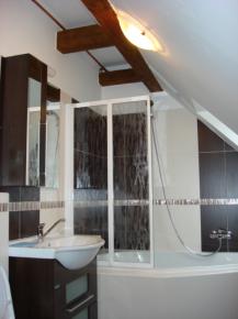 Nov zrekonstruovan pdn byt 1+1 v centru msta