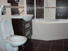 Nov zrekonstruovan pdn byt 1+1 v centru msta