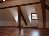 Nov zrekonstruovan pdn byt 1+1 v centru msta