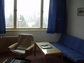 Prodme byt 1+1 v Plzni Skvranech