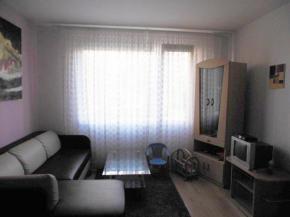 Pronjem 1+1 lutick ul., Plze - 5.000,-K