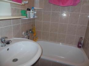 Pronjem 1+1 lutick ul., Plze - 5.000,-K