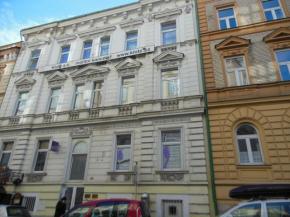 Pronjem NP - kosmetika, sluby, v Plzni Purkyova ul.,