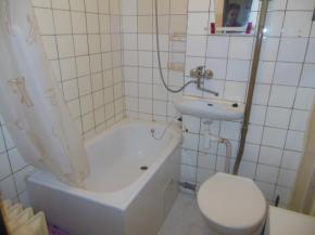 Pronjem bytu 1 + 1 v Plzni - Doubravce