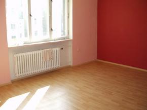 Pronjem cihlovho bytu 3+1, 80 m2, Ple, Bory