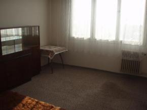Pronjem bytu 1+1 v Plzni Bolevci