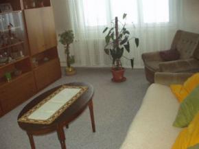 byt 3+1 v Plzni kvranech