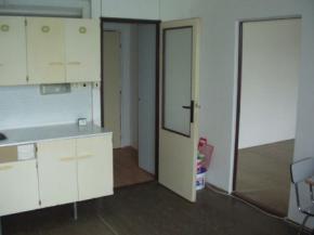 prodej bytu 1+1 v Plzni - Skvranech