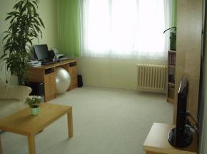 Prodej bytu 2+1 v Plzni na Borech