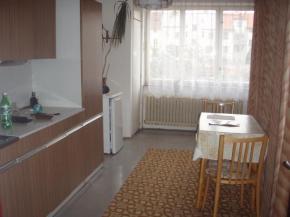 Pronjem bytu 1+1 vtch rozmr v Plzni na Borech