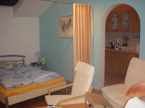 Pronjem zazenho bytu 2+kk v rodinnm dom v Plzni na Slovanech