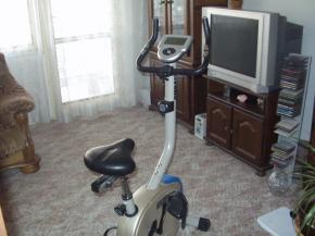 Prodm byt 3+1+L v Plzni na Vinicch