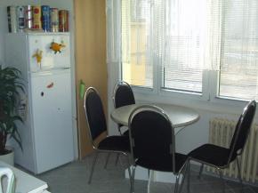 Prodm byt 3+1+L v Plzni na Vinicch