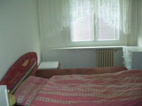 Prodm byt 3+1+L v Plzni na Vinicch