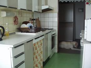 PRODEJ BYTU 2+1+L, 69 M2 PLZE - BOLEVEC, KOMENSKHO ul.