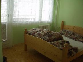 Prodme byt 3+1+L v Plzni na Vinicch