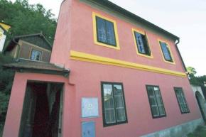 Rodinn� d�m s alt�nem a zahradou v �. Krumlov�