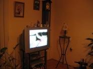 Prodej dru�stevn�ho bezbari�rov�ho bytu 3+1