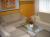 Zobrazit detail t�to nemovitosti
