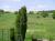 Zobrazit detail t�to nemovitosti